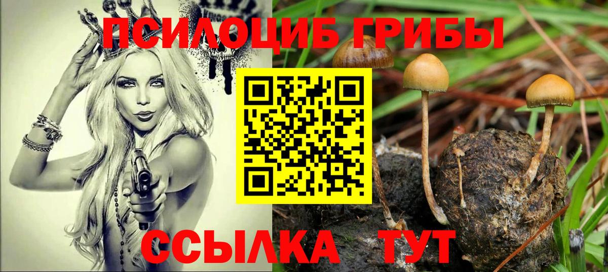 Псилоцибиновые грибы Psilocybe Луховицы