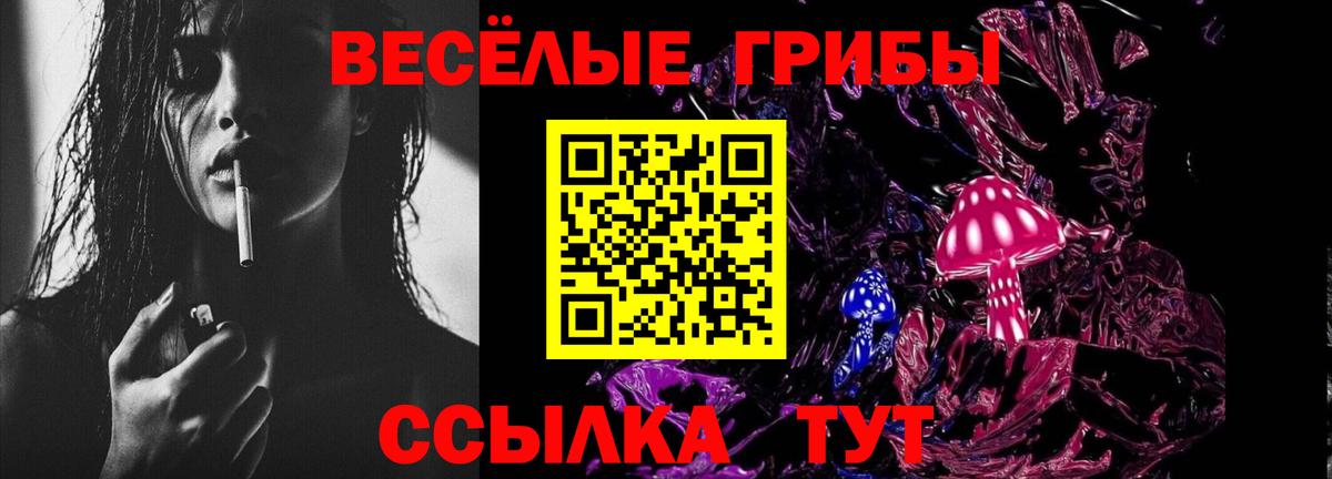Псилоцибиновые грибы MAGIC MUSHROOMS  Вход с VPN  Псилоцибиновые грибы Cubensis  Луховицы 